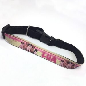 Collar para mascota personalizado con fotos ajustable