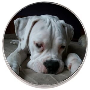 Imán nevera personalizado con fotos redondo